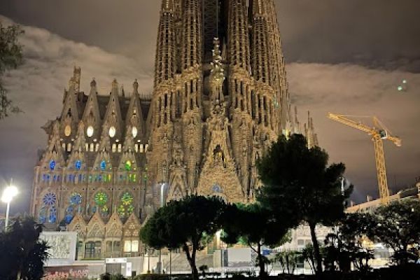 Visite guidée de la Sagrada Familia et des tours