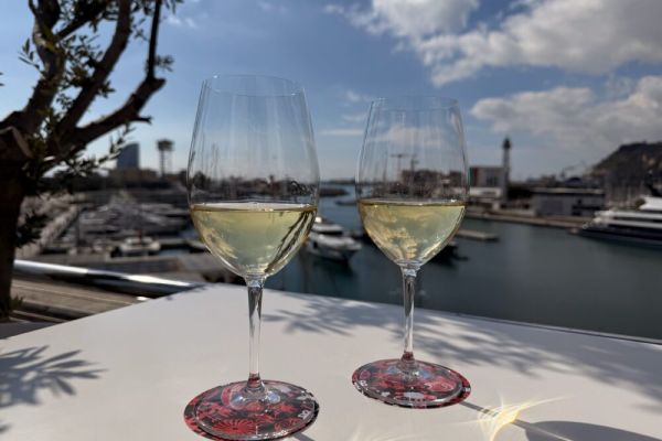 La Terrassa de les Indianes