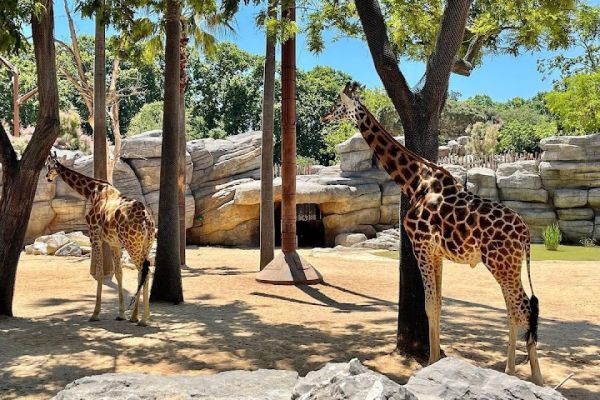 Barcelona Zoo Tickets